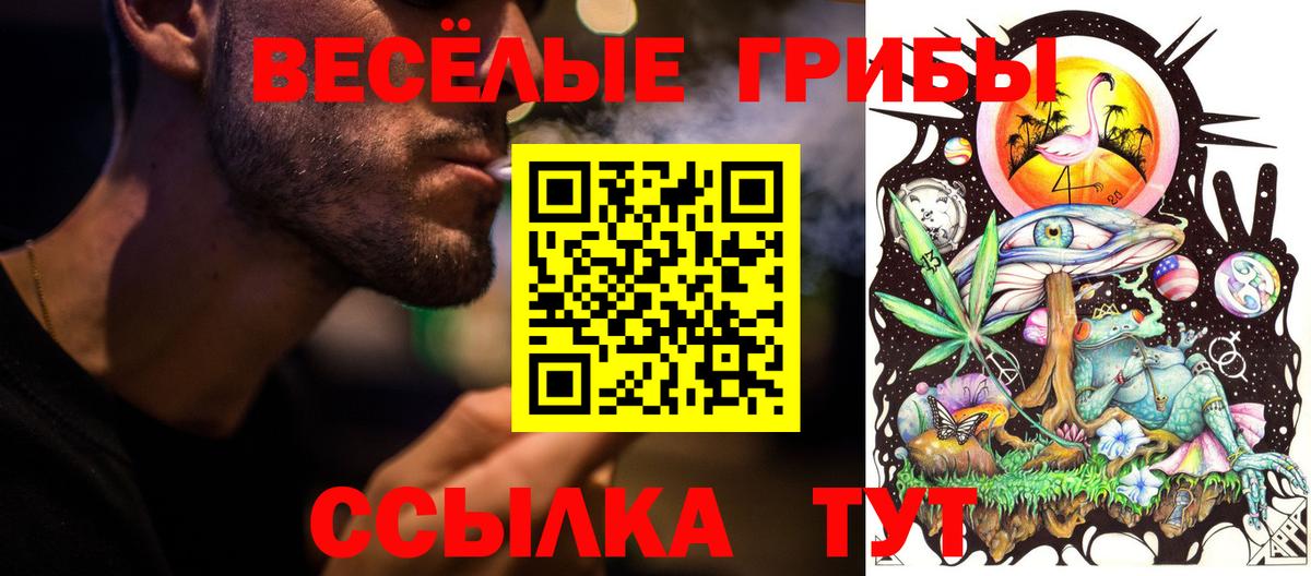 Галлюциногенные грибы Psilocybe Алексеевка